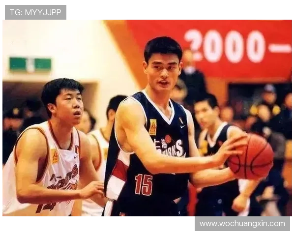 蒙自市姚明的篮球梦想与家乡发展的美好交融